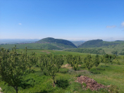 Satılır 100 sot torpaq Şamaxı