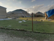 Satılır 5 sot torpaq Şabran