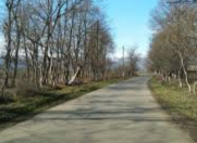 Satılır 36 sot torpaq Masallı