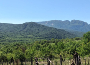 Satılır 35 sot torpaq Quba