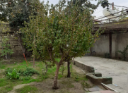 Satılır 4 otaqlı 150 m2 həyət evi Biləcəri