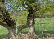 Satılır 270 sot torpaq Quba