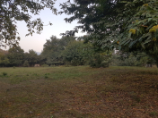 Satılır 40 sot torpaq Qəbələ