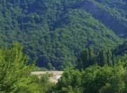 Satılır 200 sot torpaq Şamaxı