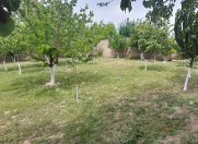 Satılır 7 sot torpaq Ramana