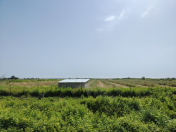 Satılır 300 sot torpaq Xaçmaz