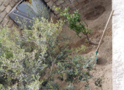 Satılır 2 otaqlı 53 m2 həyət evi Hövsan