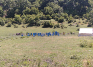 Satılır 8 sot torpaq Qax