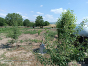 Satılır 24 sot torpaq Şamaxı