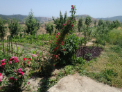 Satılır 6 otaqlı 300 m2 villa Quba