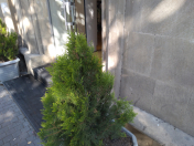 Satılır 3 otaqlı 200 m2 obyekt 28 May m.