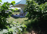 Satılır 900 sot torpaq Xaçmaz