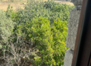 Satılır 4 sot torpaq Buzovna