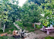 İcarəyə verilir 4 otaqlı 180 m2 bağ evi Buzovna