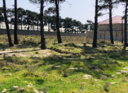 Satılır 6.5 sot torpaq Ramana