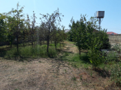 Satılır 8 sot torpaq Zaqatala