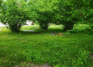 Satılır 5 sot torpaq Qəbələ