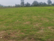 Satılır 45 sot torpaq Astara