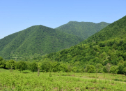 Satılır 160 sot torpaq Qax