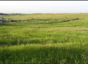 Satılır 17 sot torpaq Qusar