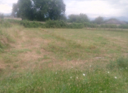 Satılır 10 sot torpaq Qəbələ