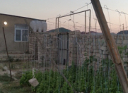 Satılır 2 otaqlı 40000 m2 bağ evi Qala