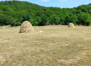 Satılır 26 sot torpaq Quba