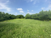 Satılır 151 sot torpaq Qax