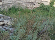 Satılır 24 sot torpaq İsmayıllı