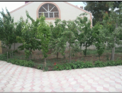 İcarəyə verilir 8 otaqlı 550 m2 bağ evi Bilgəh