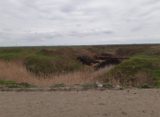 Satılır 10000 sot torpaq Şabran