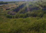 Satılır 857 sot torpaq Şabran