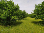 Satılır 200 sot torpaq Qax