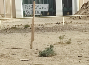 Satılır 6 sot torpaq Şirvan