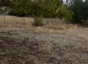 Satılır 75 sot torpaq Şamaxı