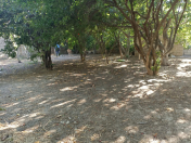 Satılır 4 sot torpaq Buzovna