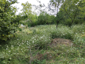 Satılır 19 sot torpaq Qusar