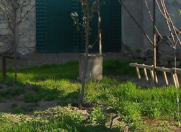 Satılır 4 otaqlı 121 m2 həyət evi Mingəçevir