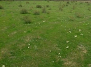 Satılır 42 sot torpaq Quba