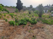 Satılır 34 sot torpaq Nardaran