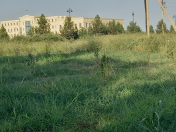 Satılır 50 sot torpaq Ağdaş