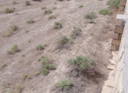 Satılır 6 sot torpaq Sumqayıt