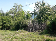 Satılır 55 sot torpaq Qəbələ