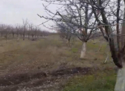 Satılır 700 sot torpaq Xaçmaz