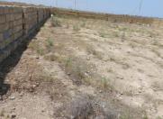 Satılır 4 sot torpaq Buzovna