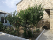 İcarəyə verilir 3 otaqlı 90 m2 həyət evi Fatmayı