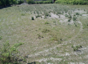 Satılır 24 sot torpaq Ağdaş