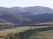 Satılır 4.34 sot torpaq Şabran