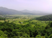 Satılır 250 sot torpaq Qəbələ