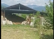 Satılır 100 sot torpaq Şəki